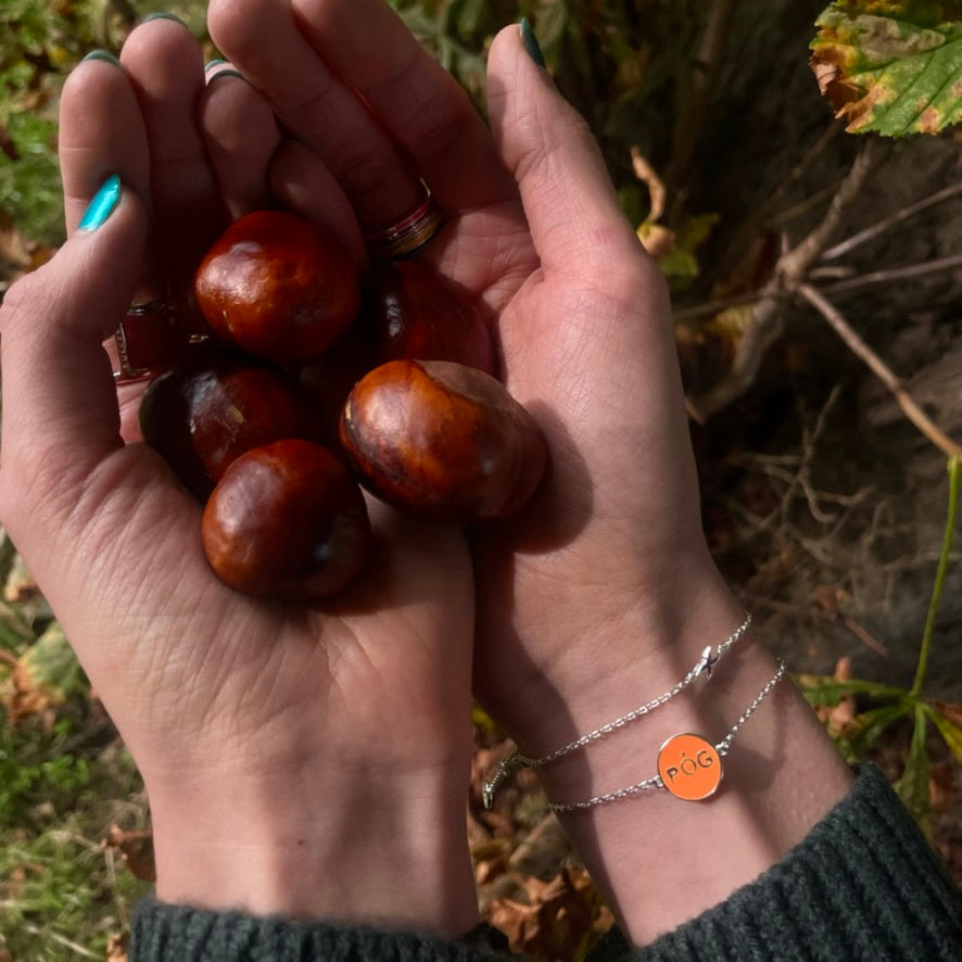 Welcome Fall!