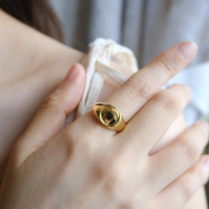 Anillo de sello giratorio 