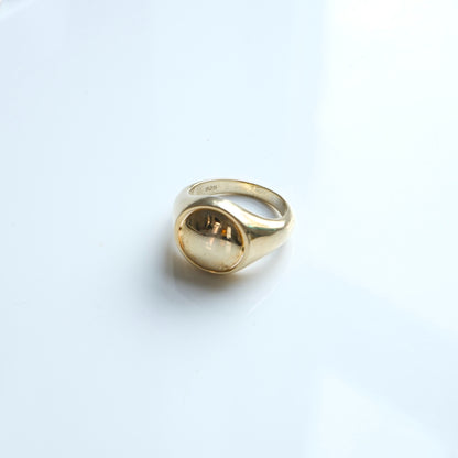 Anillo de sello giratorio 